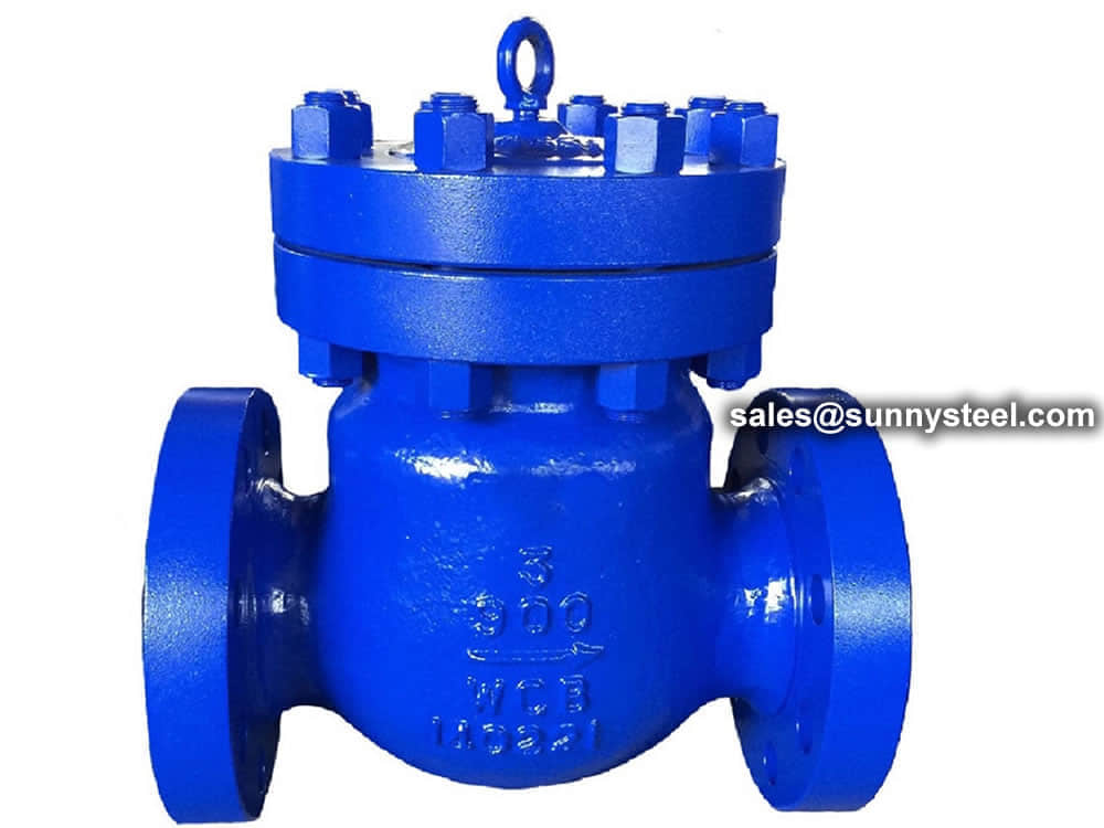 Check valve