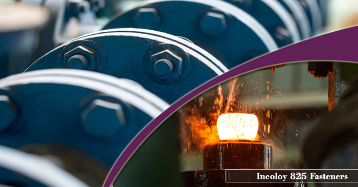 Incoloy 825 Fastener