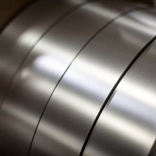 Stainless Steel Strip