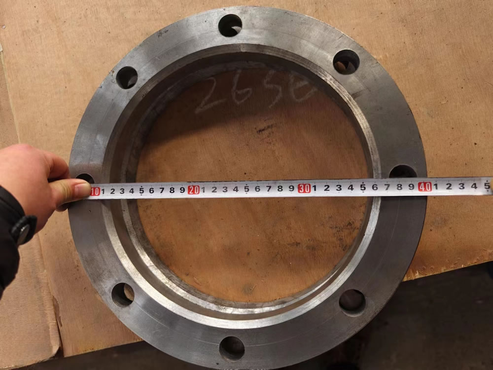 ZG40Cr8MnMoNiSiRe Flange